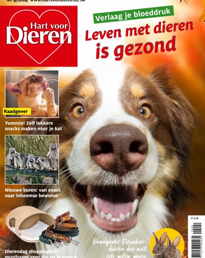 Hart voor Dieren