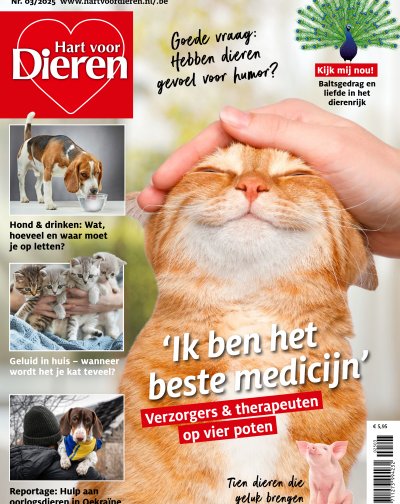 Hart voor Dieren